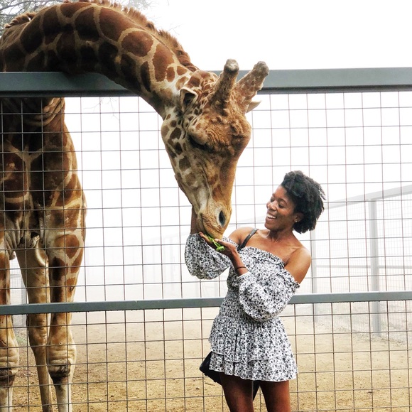 Meet your Posher, Allison - Picture 3 of 5